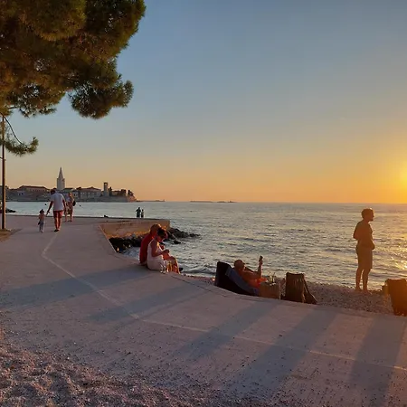 Apartman App Olive Old Town